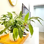 Square